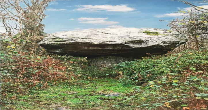 Carraig a Chaipín. (Photograph by Seán Quinlan)