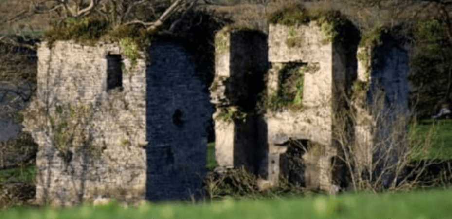 The White House. Photo Curtesy Mary McCarthy