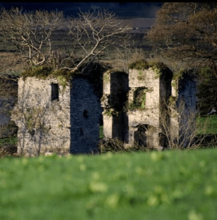 The White House. Photo Curtesy Mary McCarthy