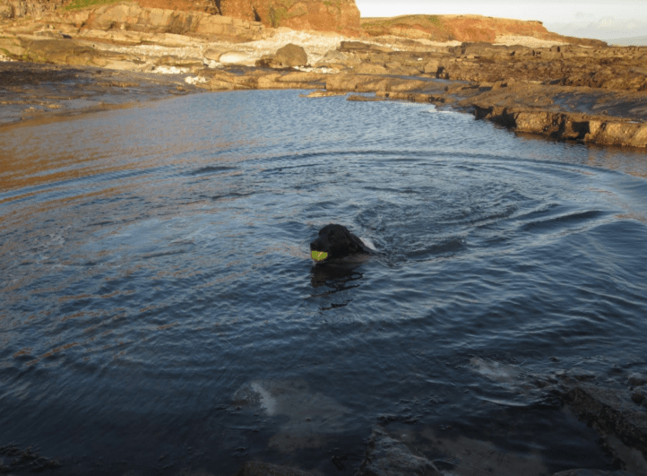 The Real Madra Uisce