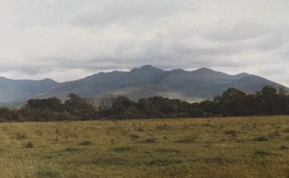 MacGillycuddy Reeks from the homestead in Dungeel (Ann Robinson)